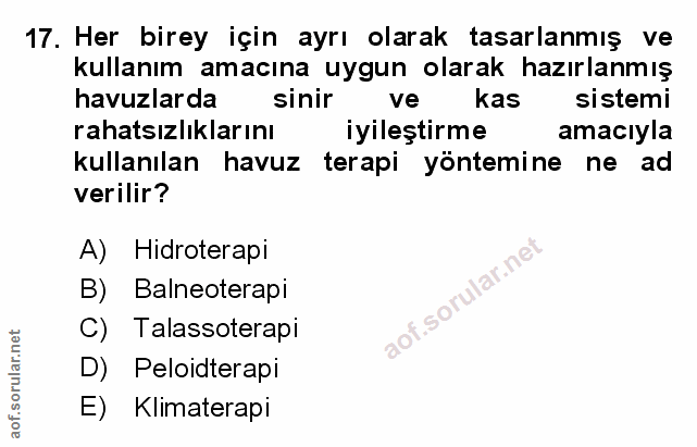 Soru 17