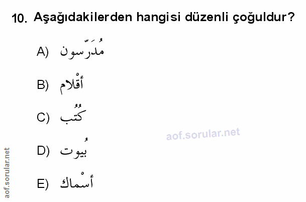 Soru 10