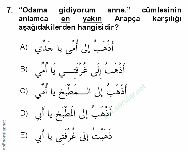 Soru 7