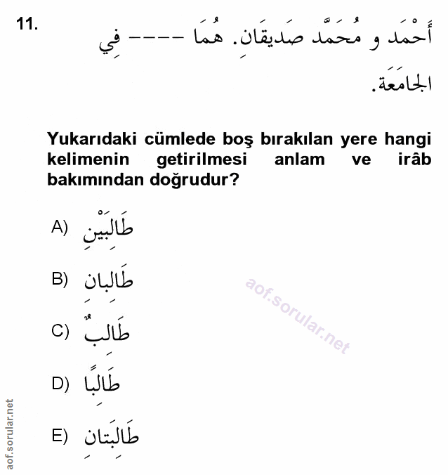 Soru 11