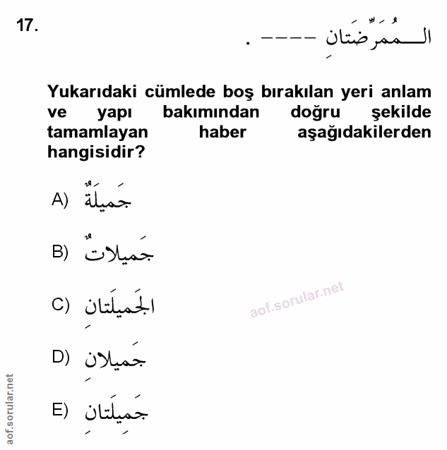 Soru 17