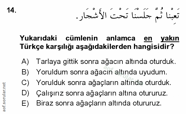 Soru 14