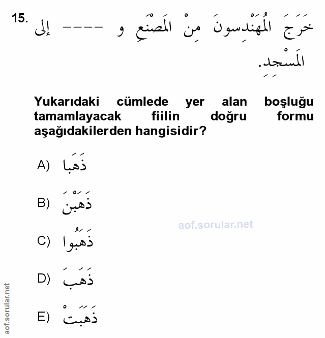Soru 15