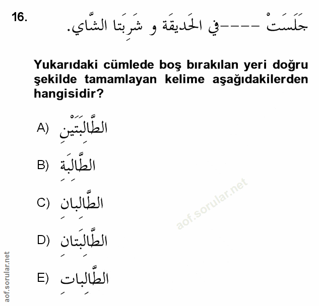 Soru 16