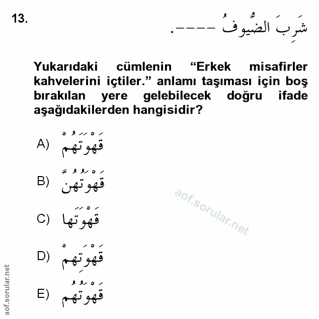 Soru 13