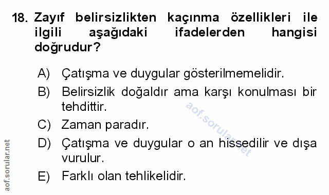 Soru 18