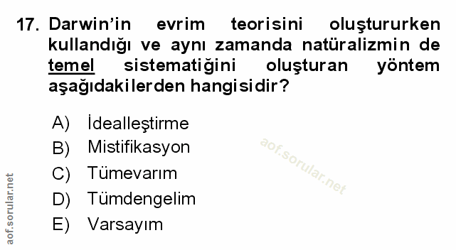Soru 17