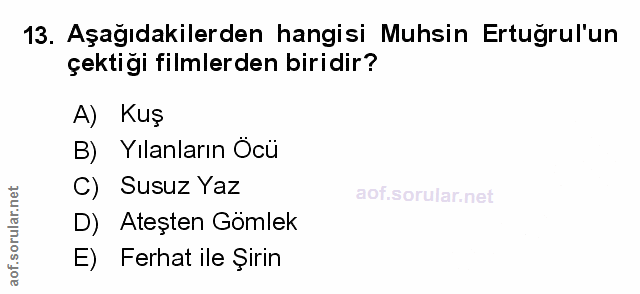 Soru 13