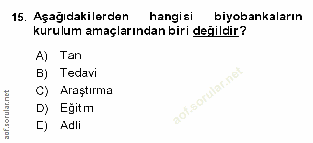 Soru 15