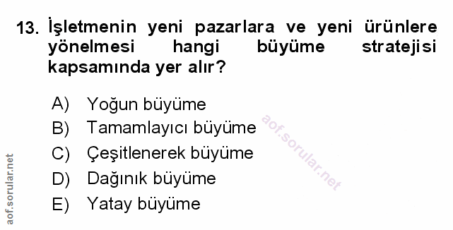 Soru 13