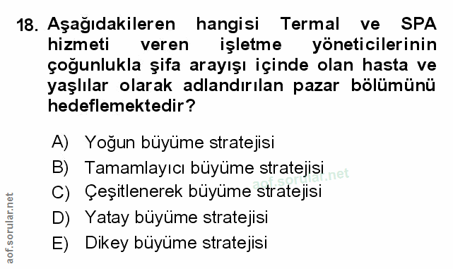 Soru 18