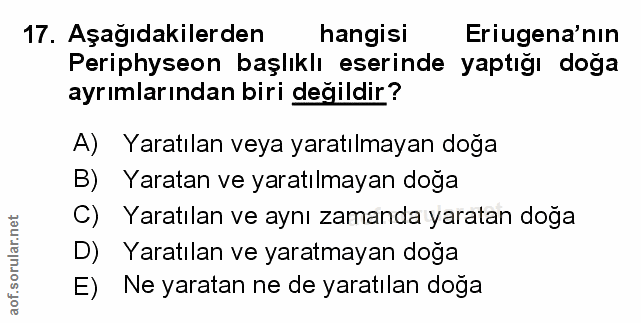 Soru 17