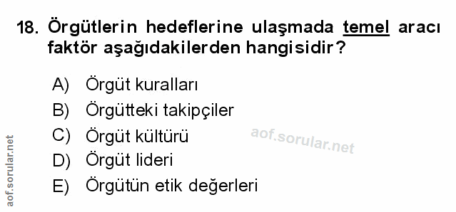 Soru 18