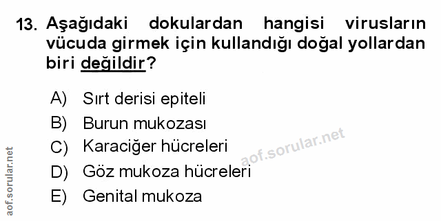Soru 13
