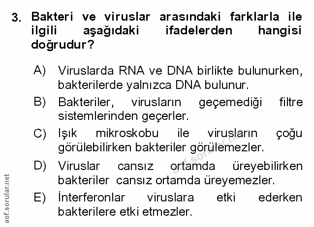 Soru 3