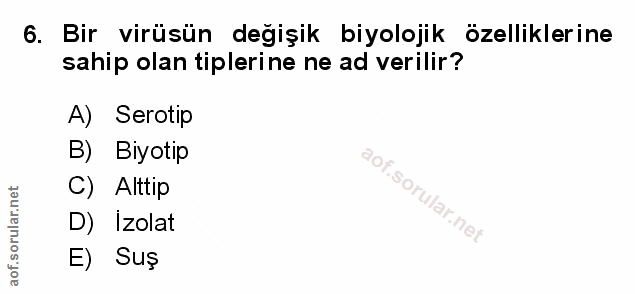 Soru 6