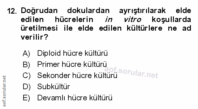 Soru 12