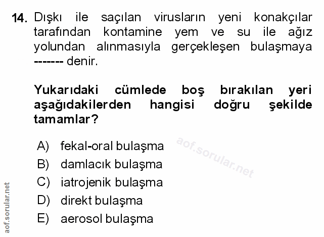 Soru 14
