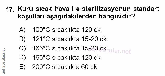 Soru 17