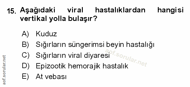 Soru 15