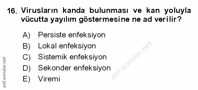 Soru 16