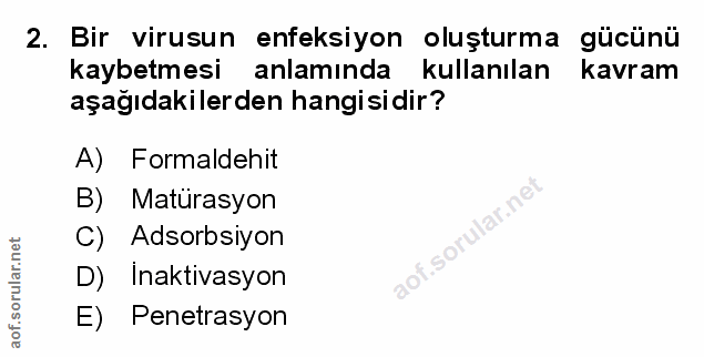 Soru 2