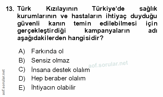 Soru 13