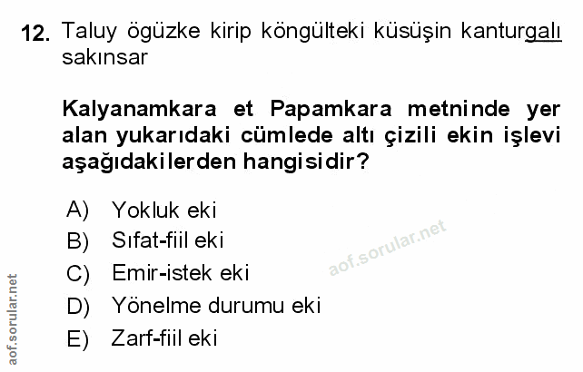 Soru 12