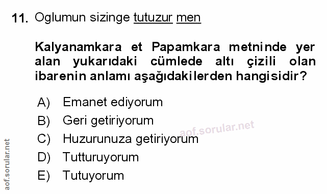 Soru 11