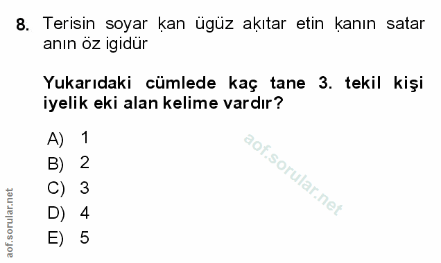 Soru 8