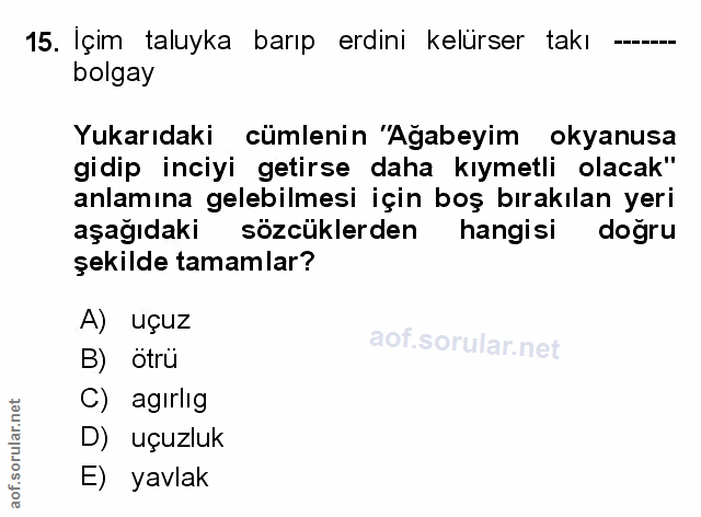 Soru 15