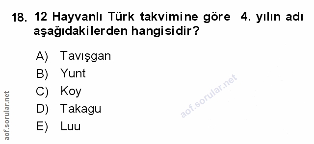 Soru 18