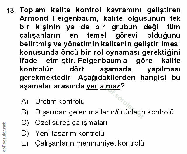Soru 13