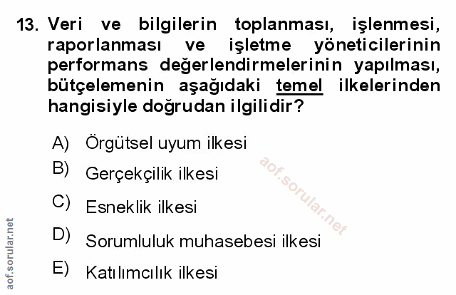 Soru 13
