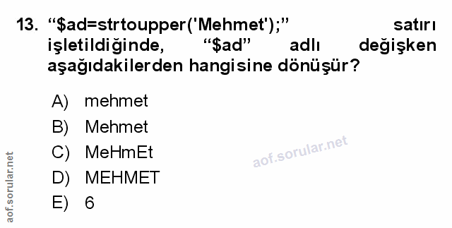 Soru 13