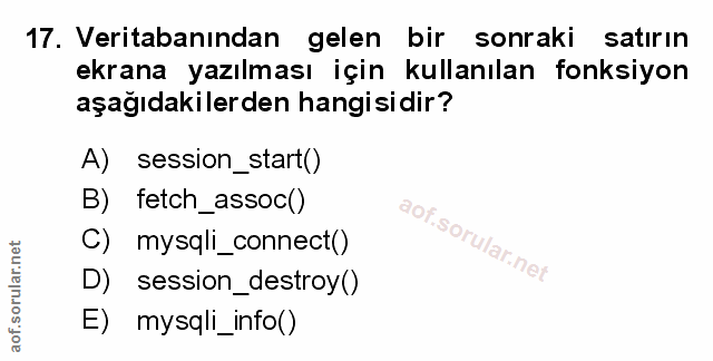 Soru 17