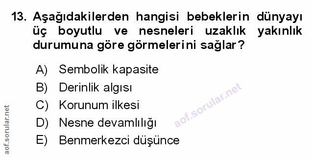 Soru 13
