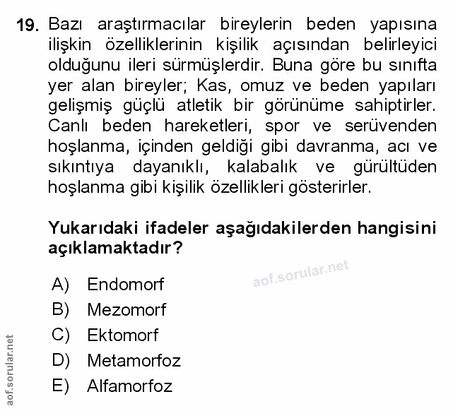 Soru 19