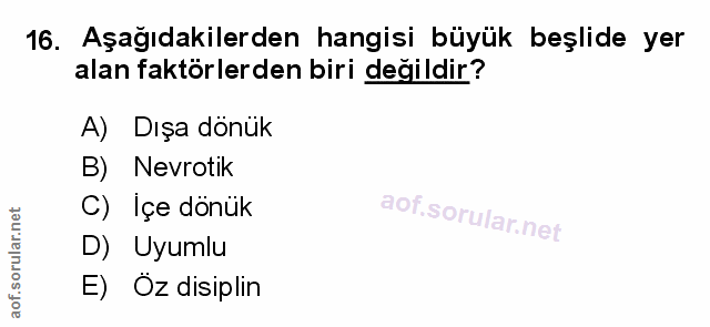 Soru 16