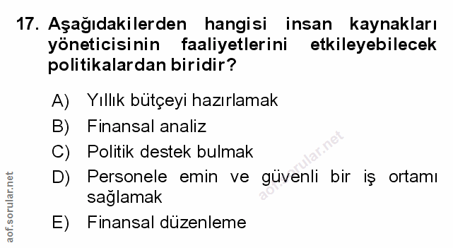 Soru 17