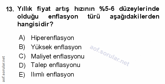 Soru 13