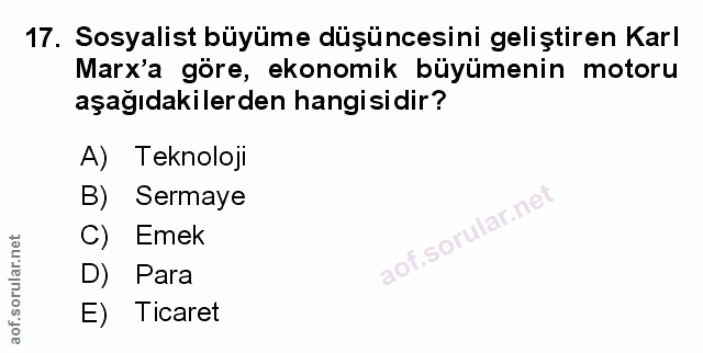 Soru 17