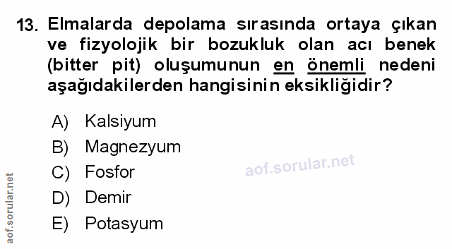 Soru 13