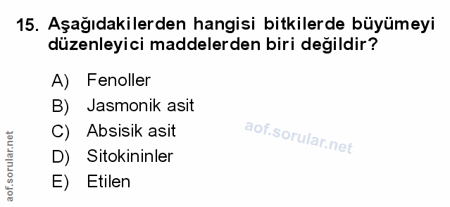 Soru 15
