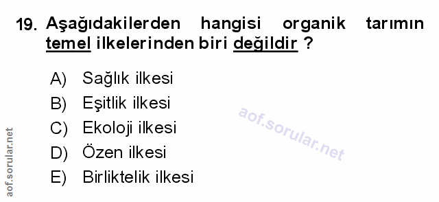 Soru 19