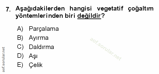 Soru 7