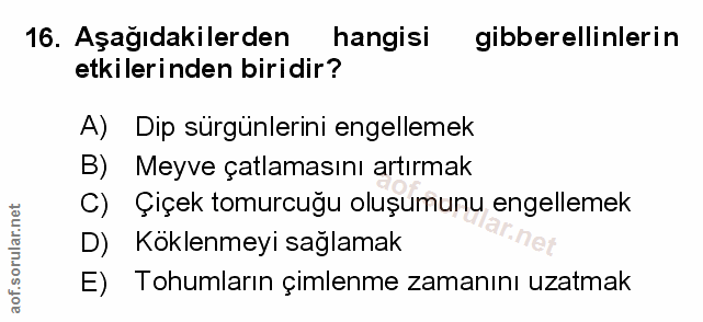 Soru 16