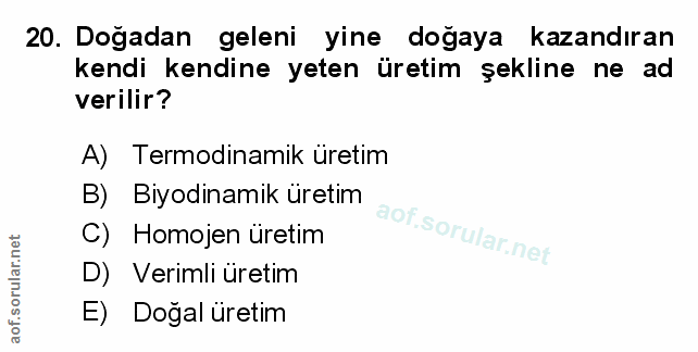 Soru 20