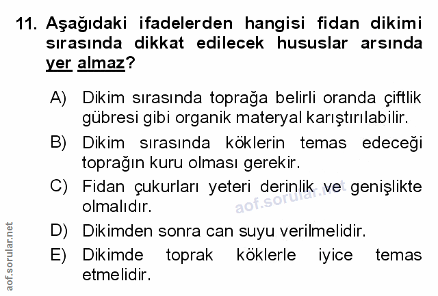 Soru 11