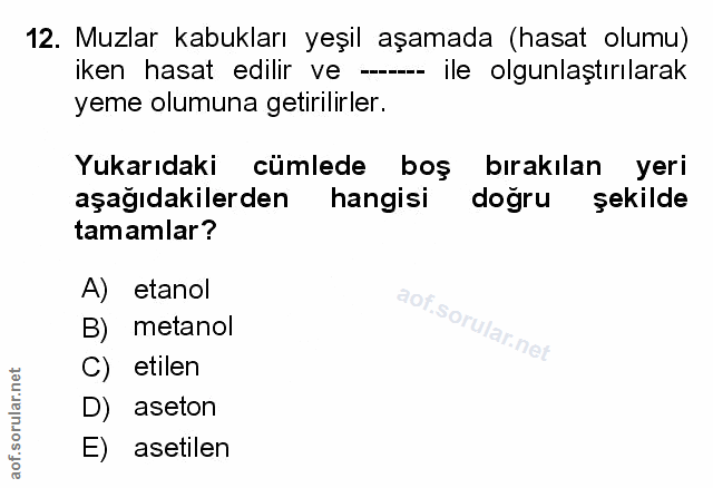 Soru 12